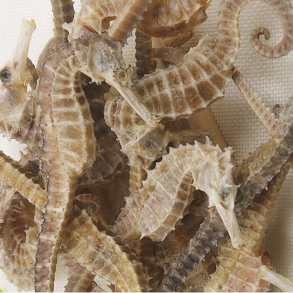 Cá ngựa khô giá sỉ