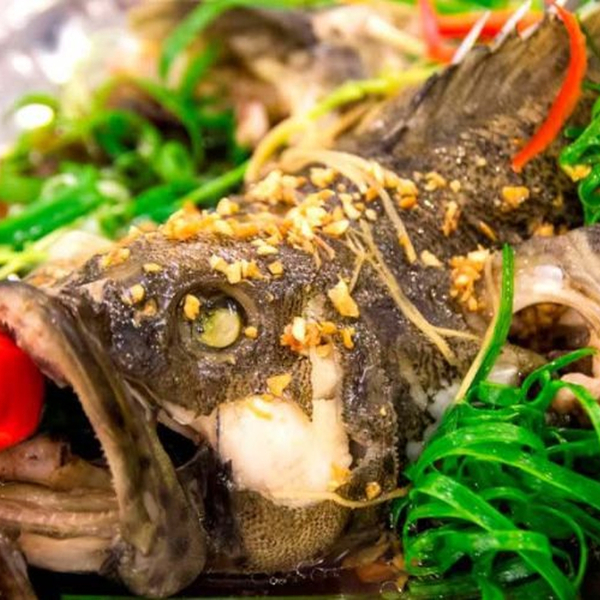Cá mú úc giá sỉ 
