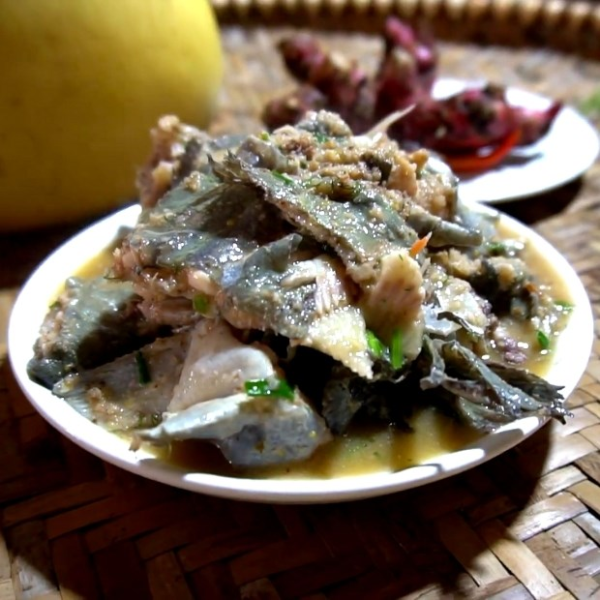 Cá nheo giá sỉ 